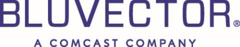 bluvector logo